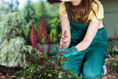 Final touches on a pristine hedge in an Earls Court garden